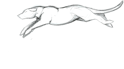 Running Dog Animation