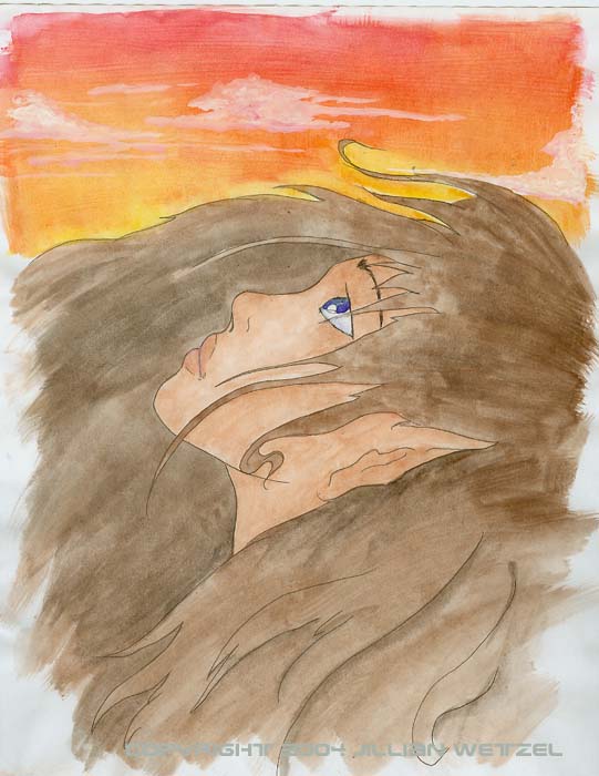 lady looking at the sunset