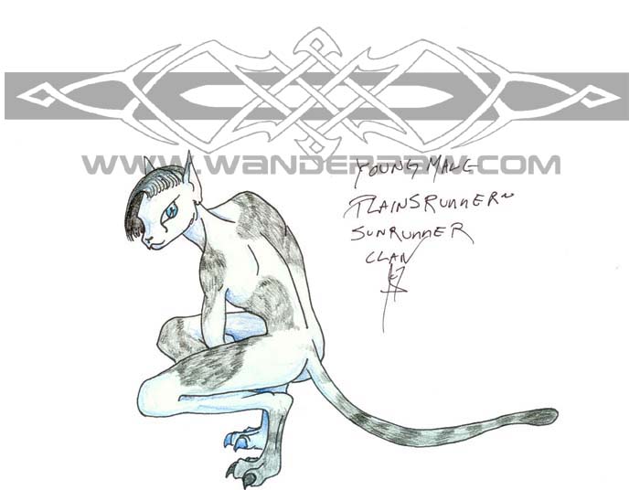 cat anthro
