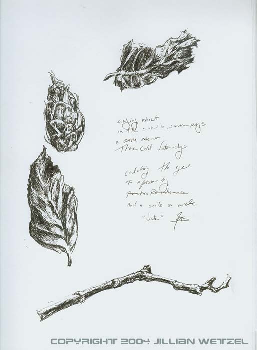 poem with leaf litter