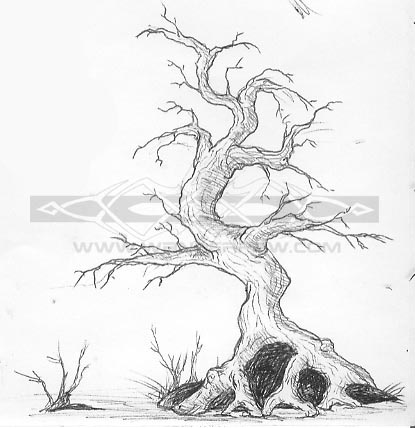 Broken Lands Tree