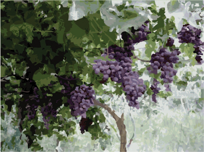 Grapes